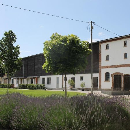 Appartement Gutshof Marienthal à Viereck Extérieur photo